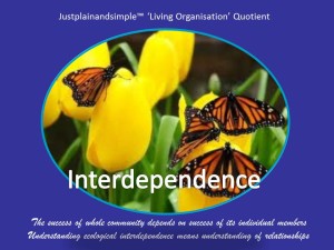 Interdependence