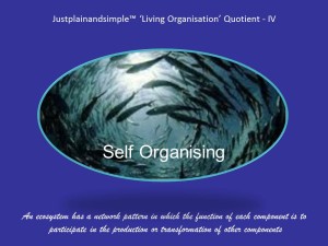 Self Organising